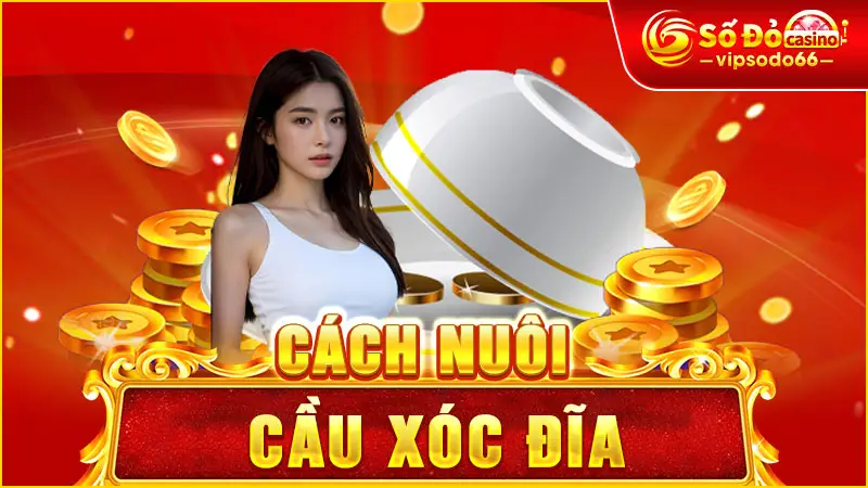 Cách nuôi cầu xóc đĩa