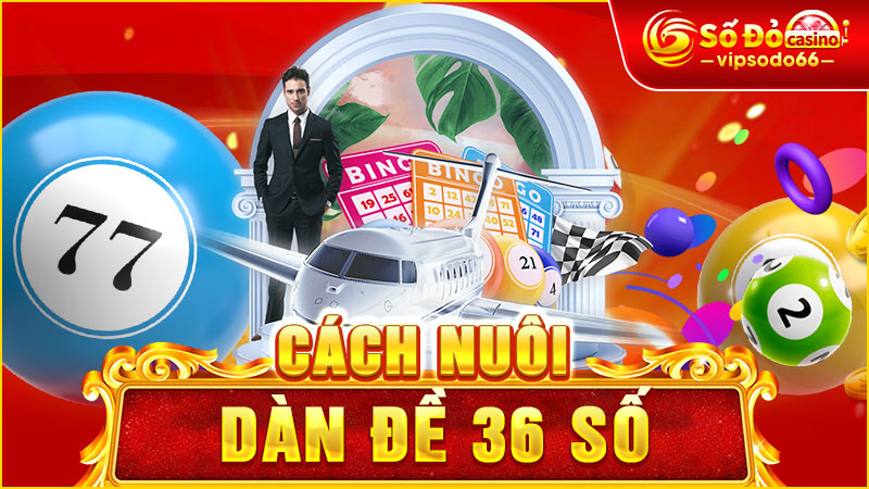 Cách Nuôi Dàn Đề 36 Số