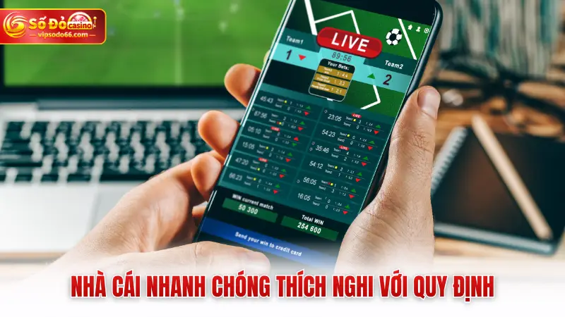Nhà cái nhanh chóng thích nghi với quy định