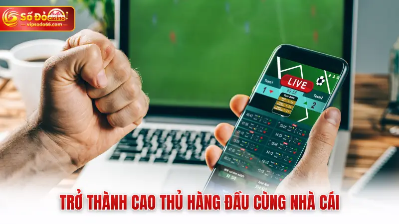 Trở thành cao thủ hàng đầu cùng nhà cái
