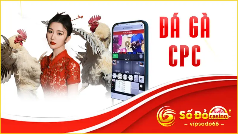 Đá gà CPC