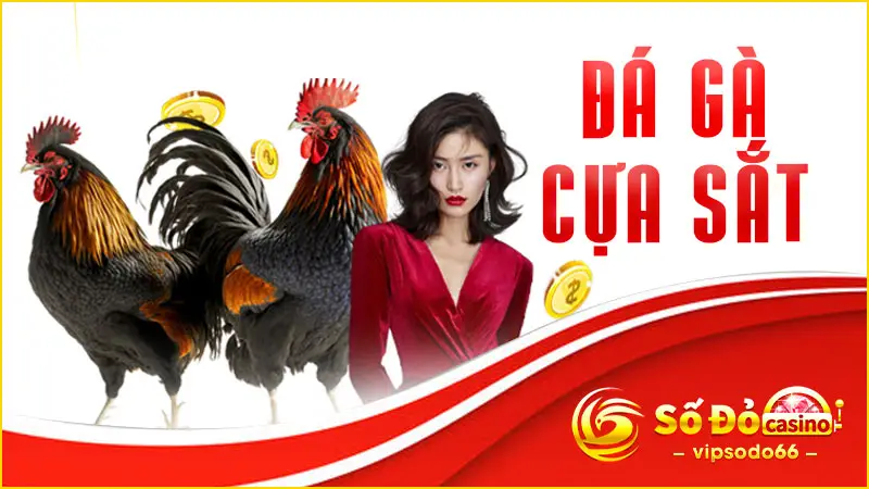Đá Gà Cựa Sắt