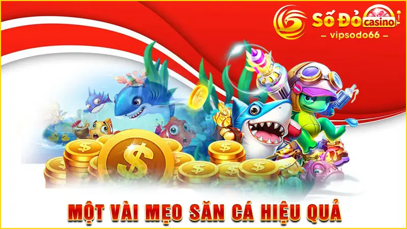 Một vài mẹo săn cá hiệu quả 