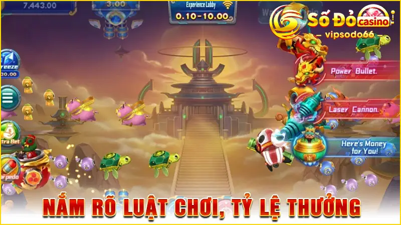 Nắm rõ luật chơi, tỷ lệ thưởng