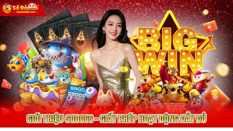 Giới thiệu SODO66 - Giấy phép hoạt động đầy đủ